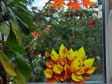 IMG-20250919-WA0014.jpg